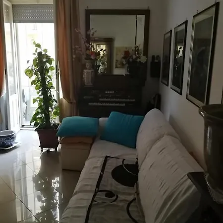 Amsicora